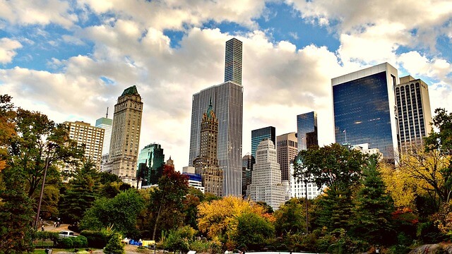 Widok na wieżowce w Central Park