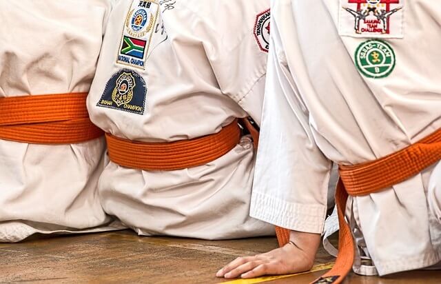 Sztuka walki karate