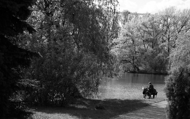 Park w Katowicach