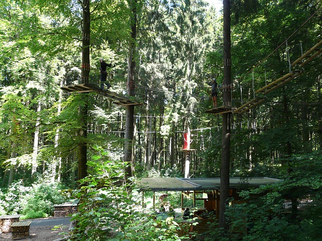 Park liniowy