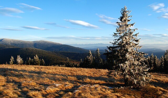Widok na góry